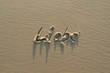 Liebe #3