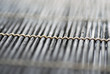 detail of placemat detail of placemat