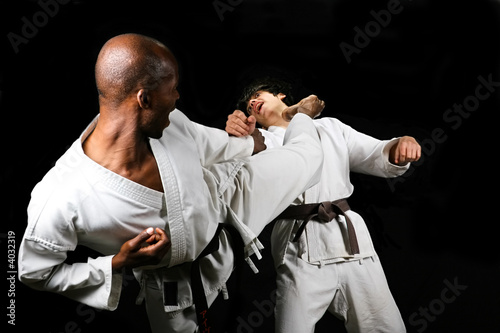 Karate fight