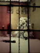 window window