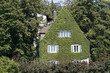 Leaf covered house Leaf covered house