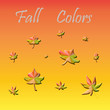 Fall Colors