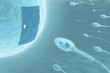 Illustration: Sperm (The key of the door) Sperm (The key of the door)