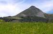 Puy Griou Puy Griou