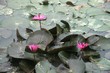 vietnam07-1033
