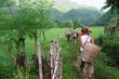 vietnam07-1041