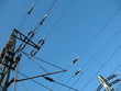 Strom Preis Verbindung Strom Preis Verbindung