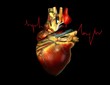 cuore