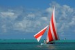 Regatta Regatta