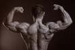 The muscular male with the naked torso