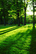 Green park
