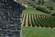 Cabane de vigne