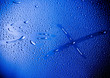 Water drops
