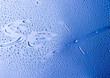 Water drops