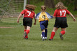 Youth Soccer or Football Player in Action 13 Youth Soccer or Football Player in Action 13