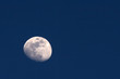 The Moon