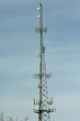 Cell Phone and Antenna Tower