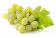 grappolo d'uva grappolo d'uva