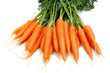 Carrot