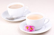 Delicious Coffee (or hot chocolate)