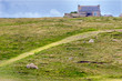 meadow and house