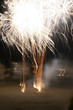 fireshoots