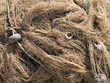Fishing Net