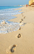 Photo: the beach in the caribbean the beach in the caribbean