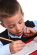 Elementary School boy