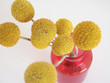 yellow balls