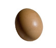 oeuf