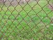 protective grid