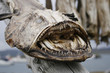dried monkfish