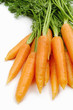 Carrot
