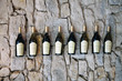vins