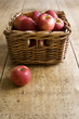 basket of apples basket of apples