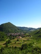 Village et vignes de Cerdon, dans l'Ain
