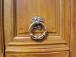 Porte marron avec anneau doré