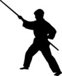 Karate guy 02