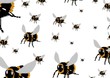 The Bees