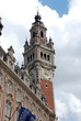 Historical Buildings in the city of Lille (france)