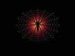 Spider & Web