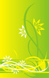 difficult pattern 1