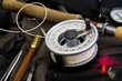 Selection of fishing equipment