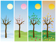 Seasons: winter, spring, summer, autumn. Vector.