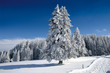 Winterlandschaft 6 Winterlandschaft 6