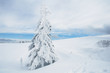 Winterlandschaft 8