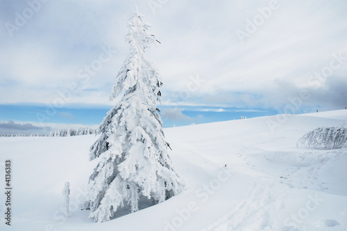 Winterlandschaft 8 Winterlandschaft 8