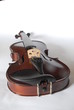 violino