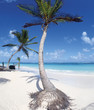 canvas print picture beach